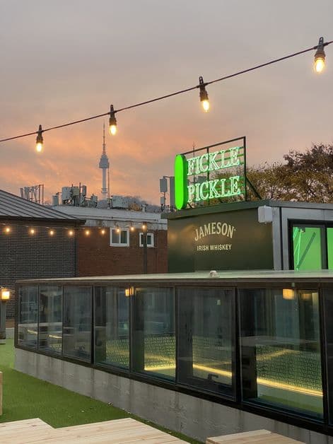 Fickle Pickle JangChung