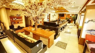 Gold Tuna Main Branch