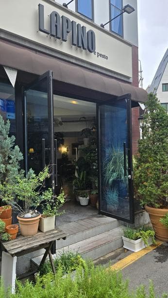 Lapino