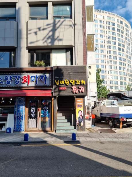 Number One Yangkochi